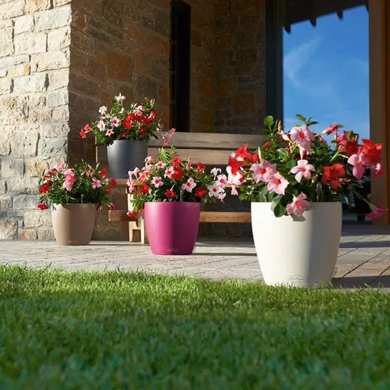 Self-Watering Indoor Planter Pots with Water Level Indicators