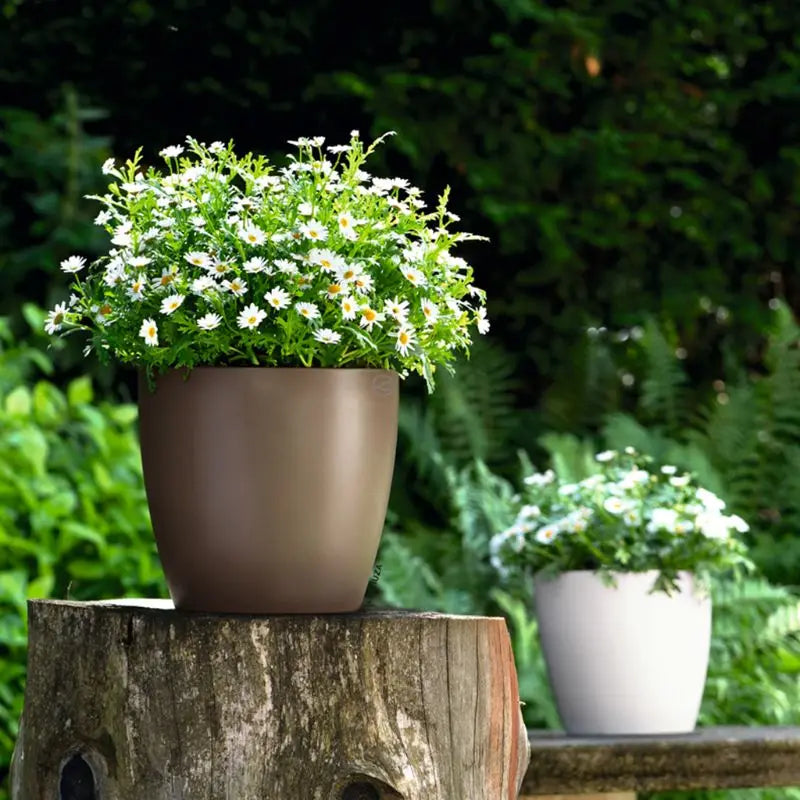 Self-Watering Indoor Planter Pots with Water Level Indicators