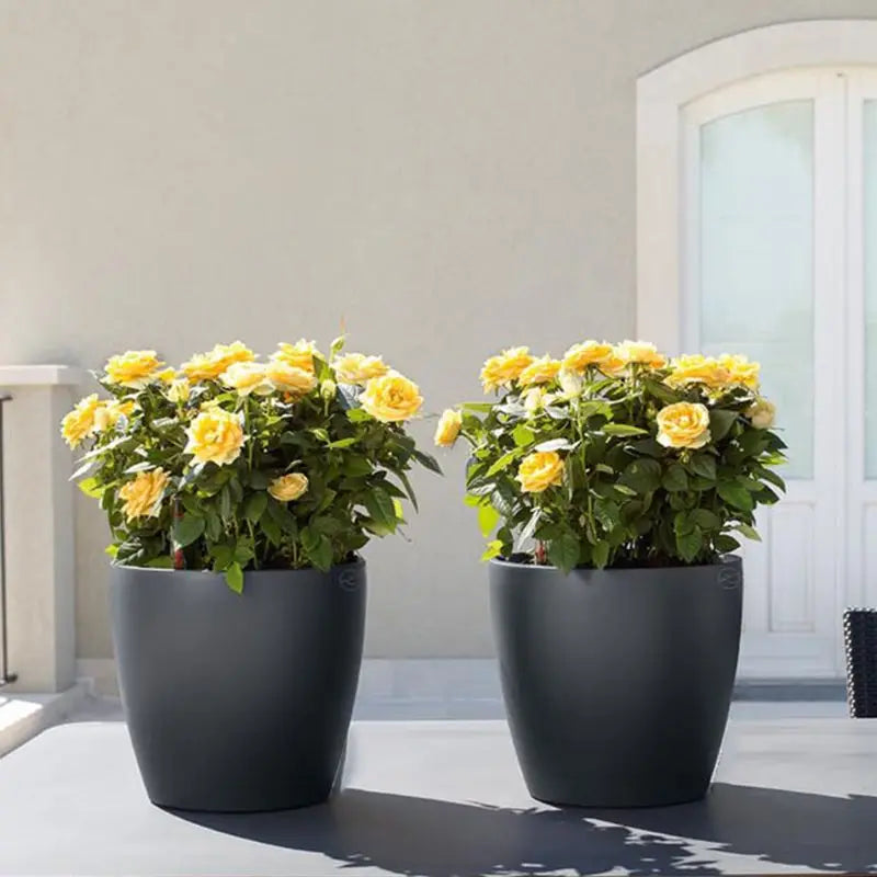 Self-Watering Indoor Planter Pots with Water Level Indicators