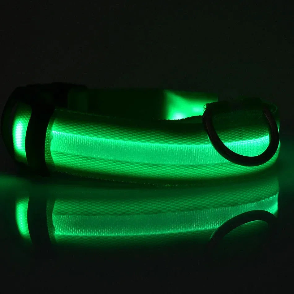 Colorful RGB Nylon LED Pet Collar for Small Dogs & Cats