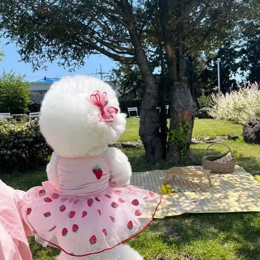 Strawberry Daisy Dog Dress with Tulle Skirt for Small Puppies