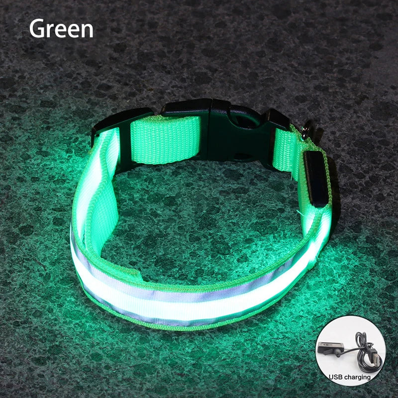 Rechargeable LED Reflective Dog Collar Light for Night Safety