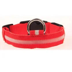 Colorful RGB Nylon LED Pet Collar for Small Dogs & Cats