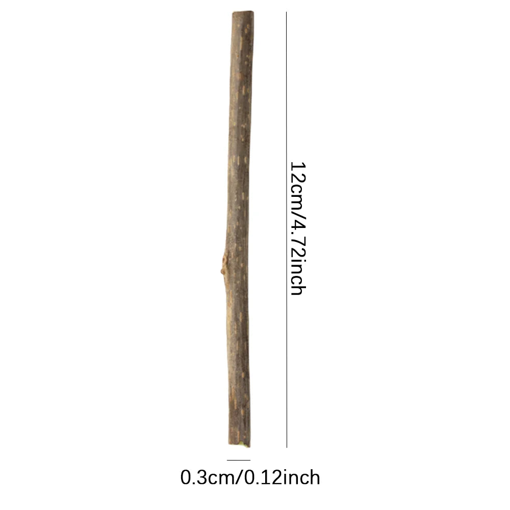Natural Matatabi Cat Chew Sticks for Dental Care & Anti-Tartar Play