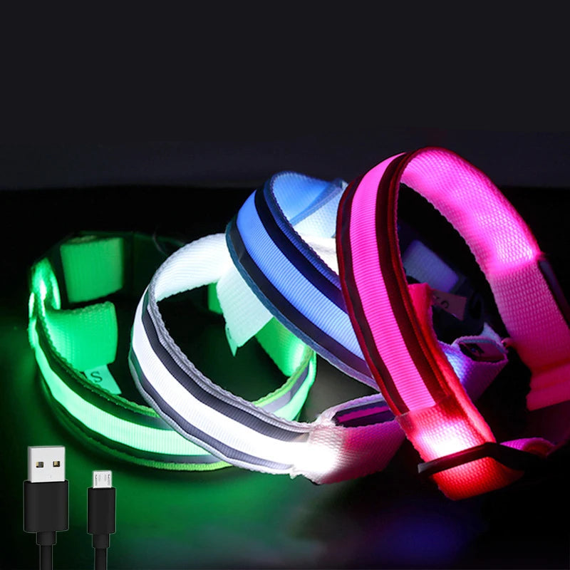 Rechargeable LED Reflective Dog Collar Light for Night Safety