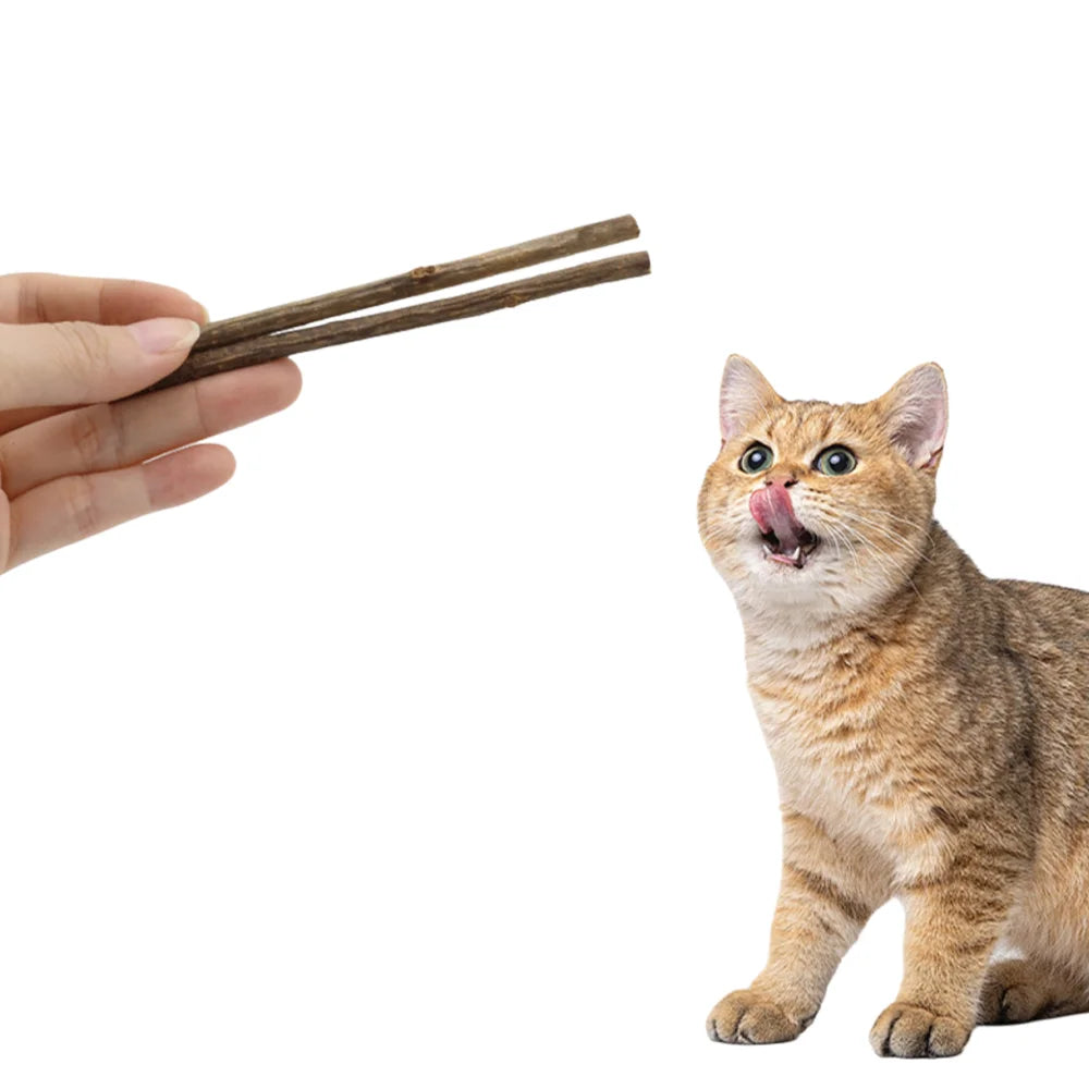 Natural Matatabi Cat Chew Sticks for Dental Care & Anti-Tartar Play