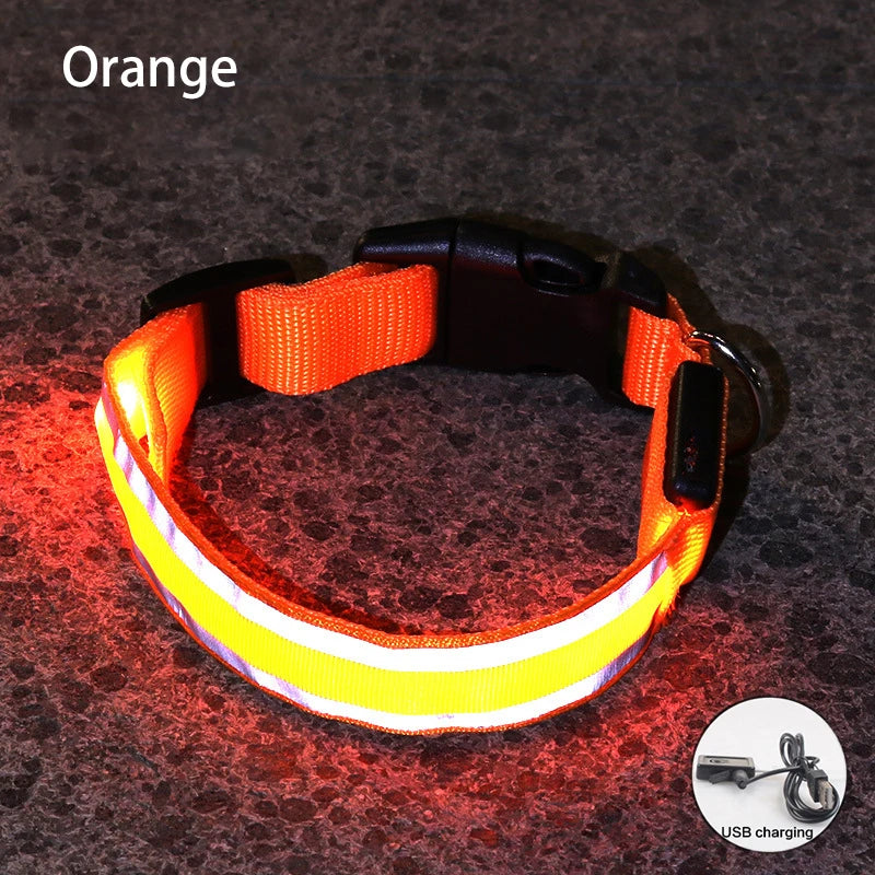 Rechargeable LED Reflective Dog Collar Light for Night Safety