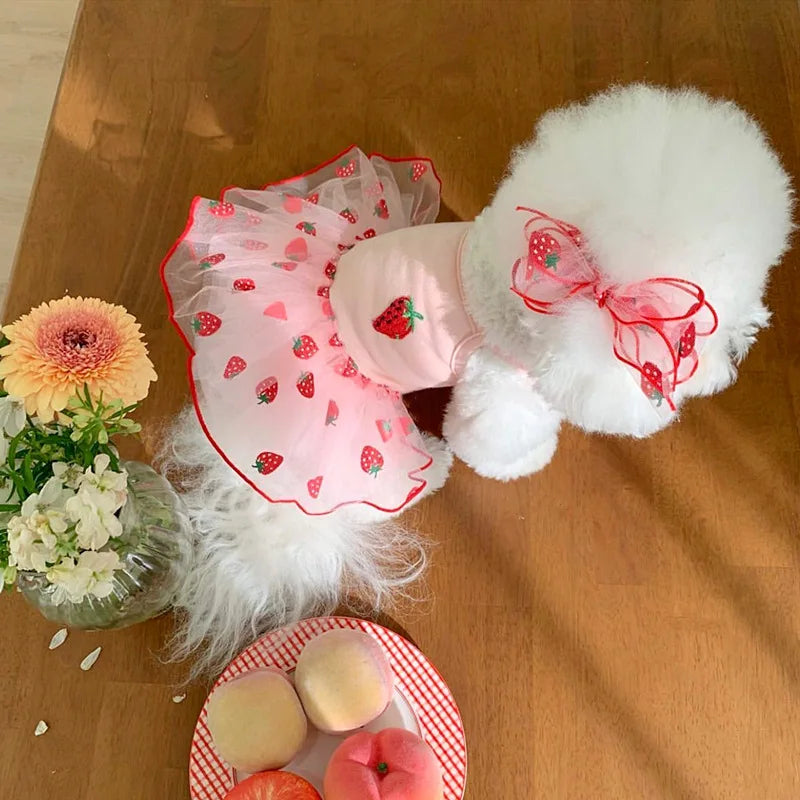Strawberry Daisy Dog Dress with Tulle Skirt for Small Puppies