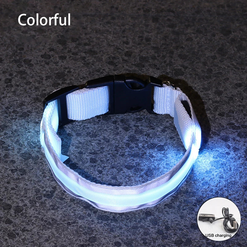Rechargeable LED Reflective Dog Collar Light for Night Safety