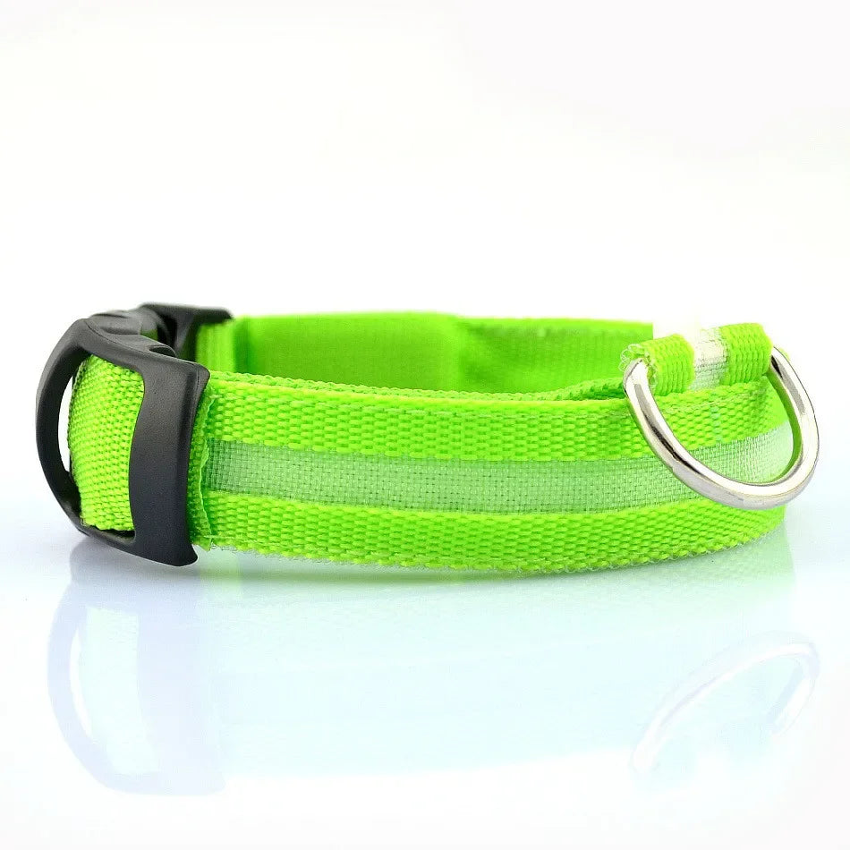 Colorful RGB Nylon LED Pet Collar for Small Dogs & Cats
