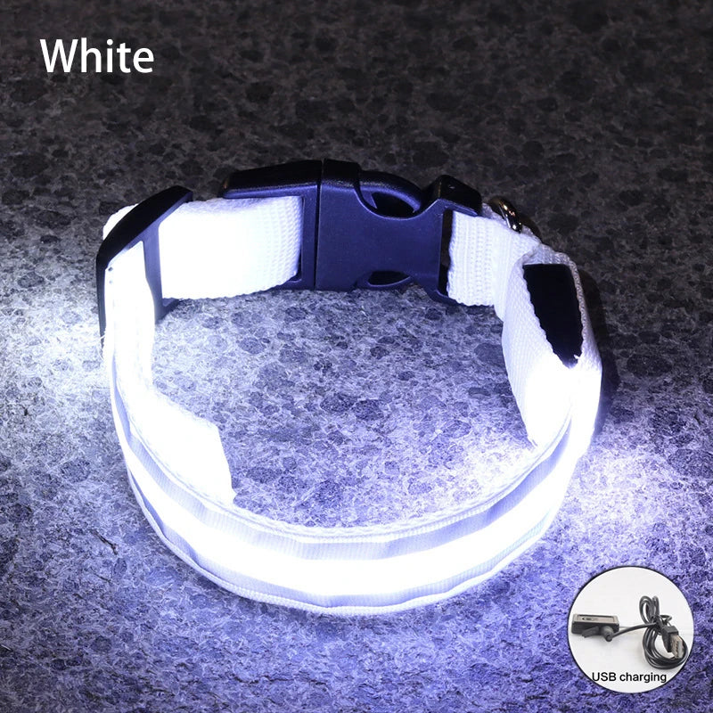 Rechargeable LED Reflective Dog Collar Light for Night Safety