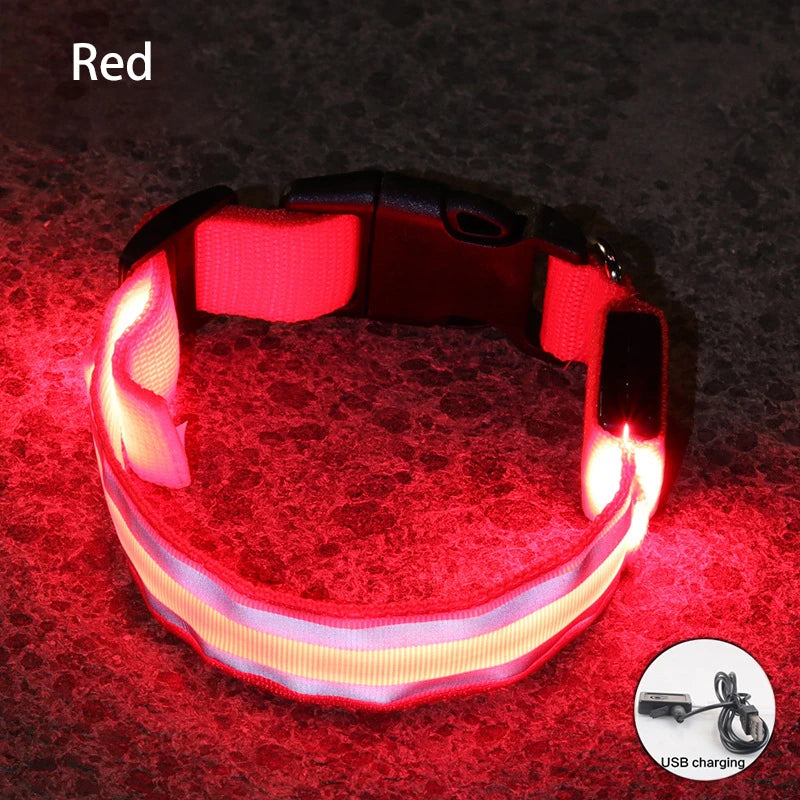 Rechargeable LED Reflective Dog Collar Light for Night Safety