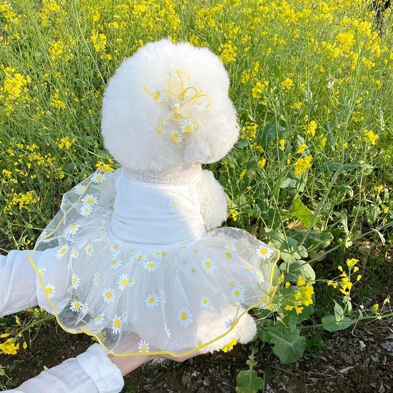 Strawberry Daisy Dog Dress with Tulle Skirt for Small Puppies