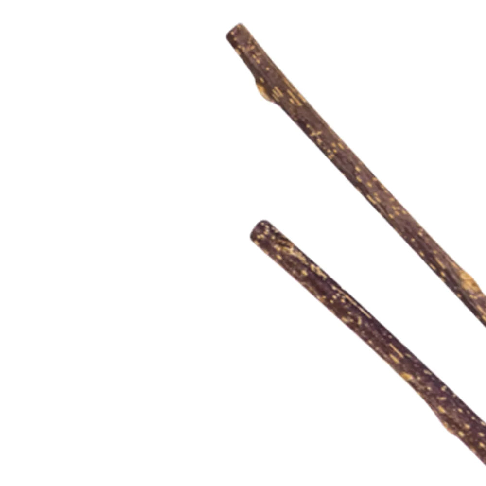 Natural Matatabi Cat Chew Sticks for Dental Care & Anti-Tartar Play