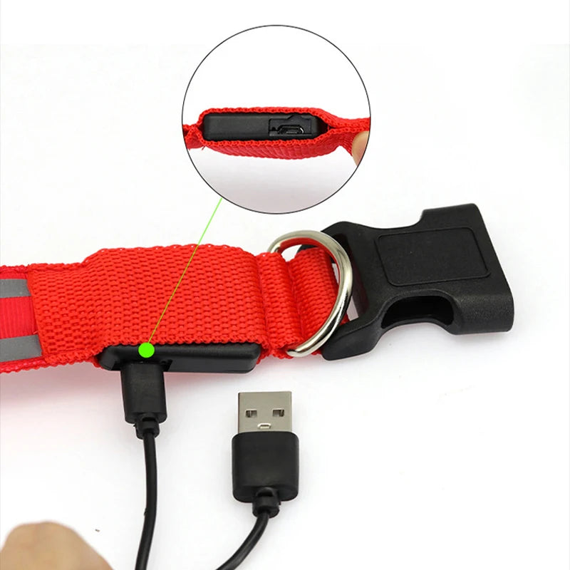 Rechargeable LED Reflective Dog Collar Light for Night Safety