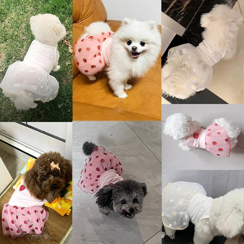 Strawberry Daisy Dog Dress with Tulle Skirt for Small Puppies