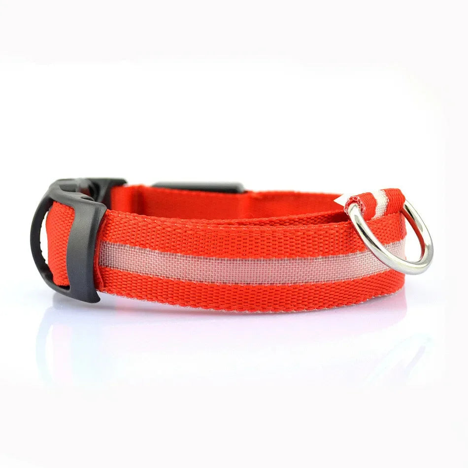 Colorful RGB Nylon LED Pet Collar for Small Dogs & Cats