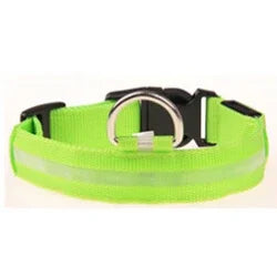 Colorful RGB Nylon LED Pet Collar for Small Dogs & Cats