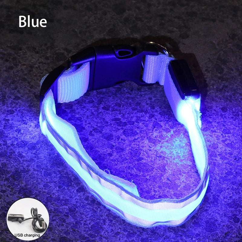 Rechargeable LED Reflective Dog Collar Light for Night Safety