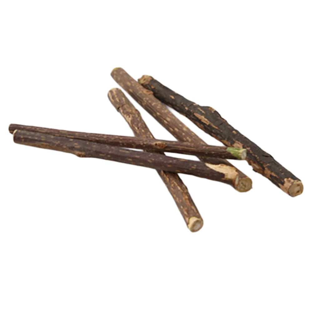 Natural Matatabi Cat Chew Sticks for Dental Care & Anti-Tartar Play
