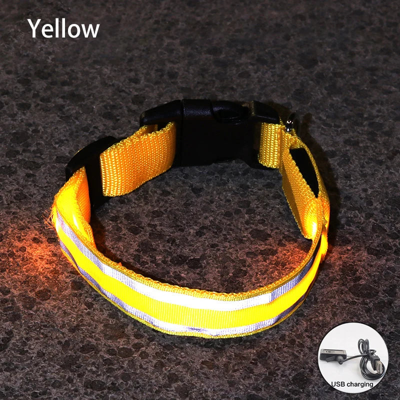 Rechargeable LED Reflective Dog Collar Light for Night Safety